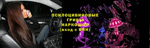 PSILOCYBIN Покачи