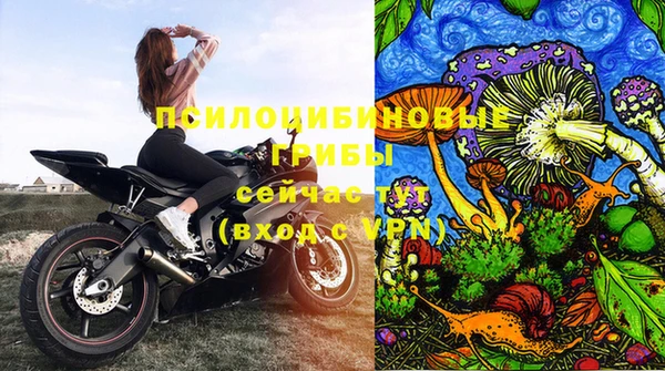 PSILOCYBIN Покачи