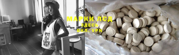 PSILOCYBIN Покачи