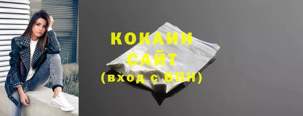 PSILOCYBIN Покачи