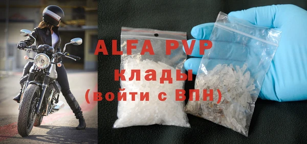 PSILOCYBIN Покачи