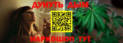 спайс Гай