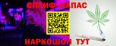 спайс Гай