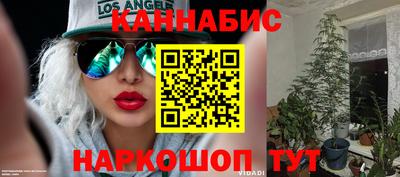 индика Абакан