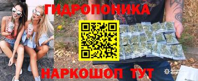 индика Абакан