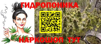 индика Абакан