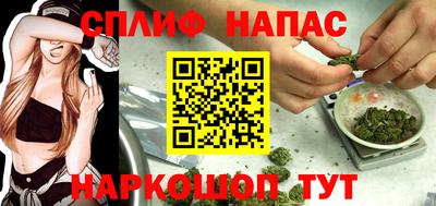 спайс Гай