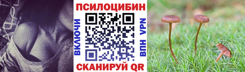 Галлюциногенные грибы прущие грибы Абинск