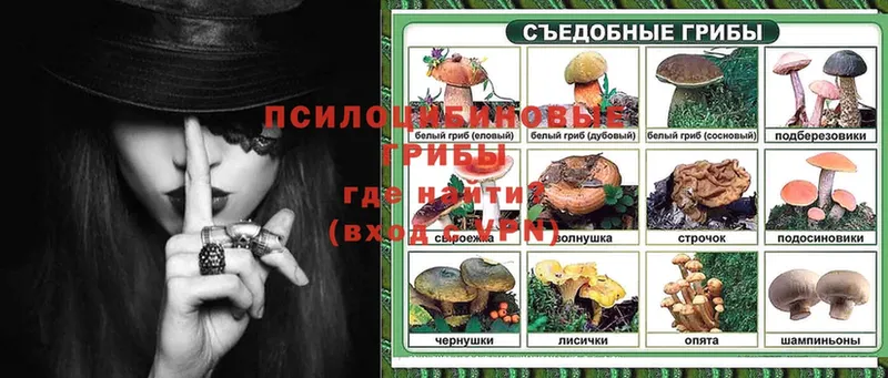 Псилоцибиновые грибы Magic Shrooms  ссылка на мегу рабочий сайт  Абинск  закладки 