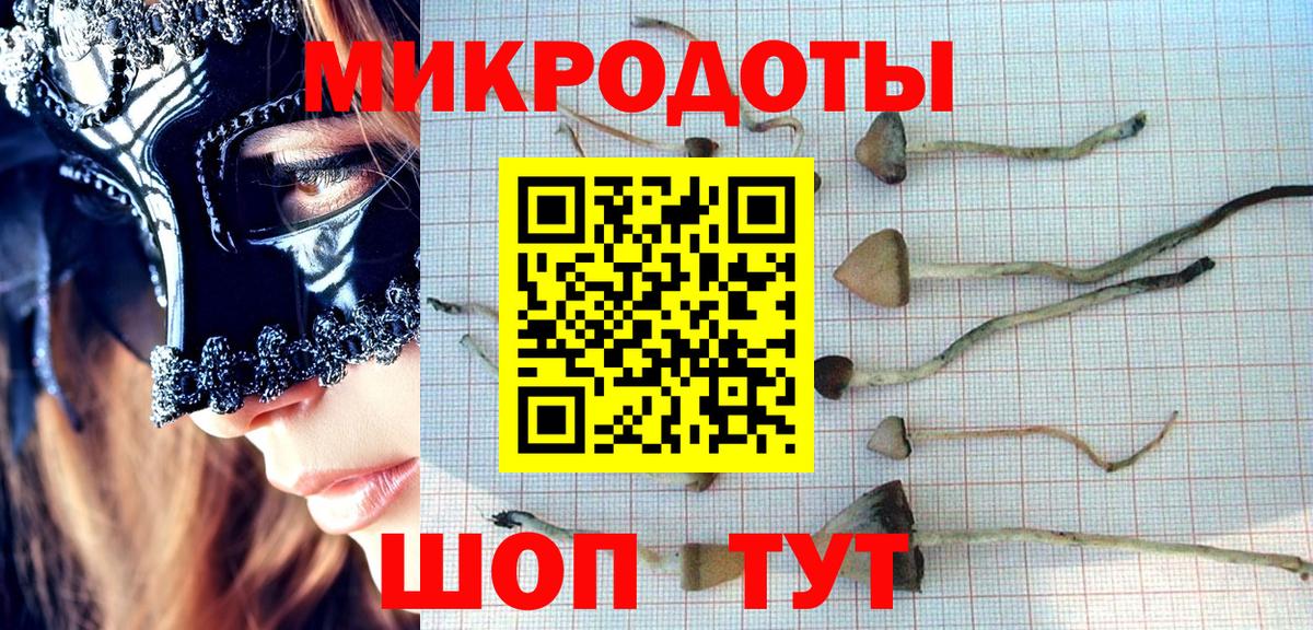 Галлюциногенные грибы GOLDEN TEACHER  Вход с VPN  Абинск 