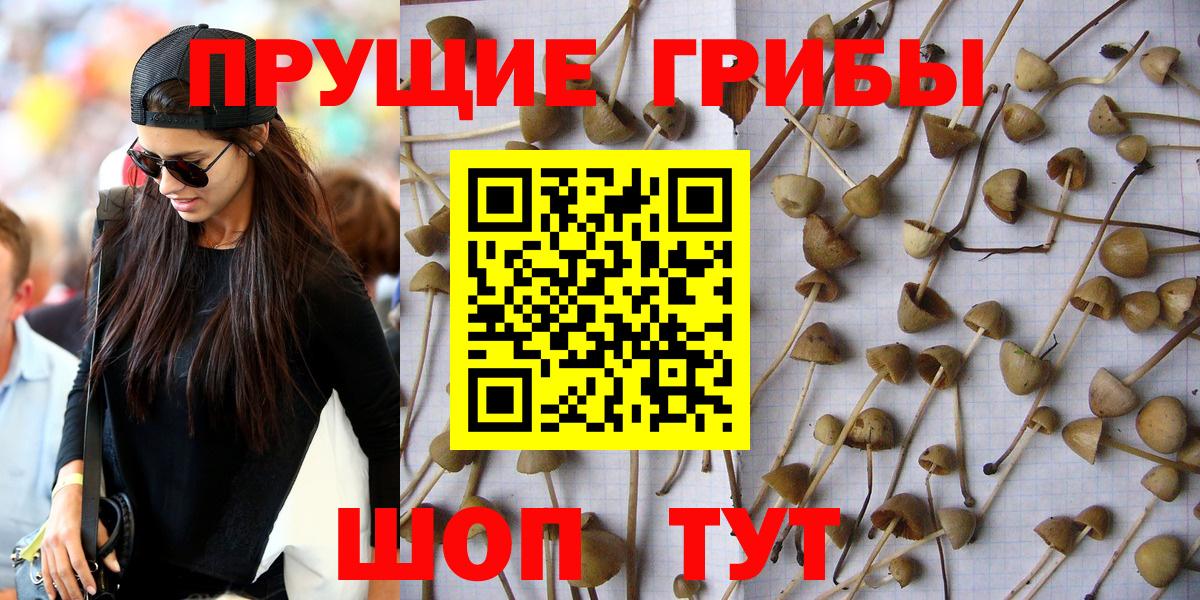 Псилоцибиновые грибы MAGIC MUSHROOMS  Вход с VPN  Абинск  Псилоцибиновые грибы прущие грибы 