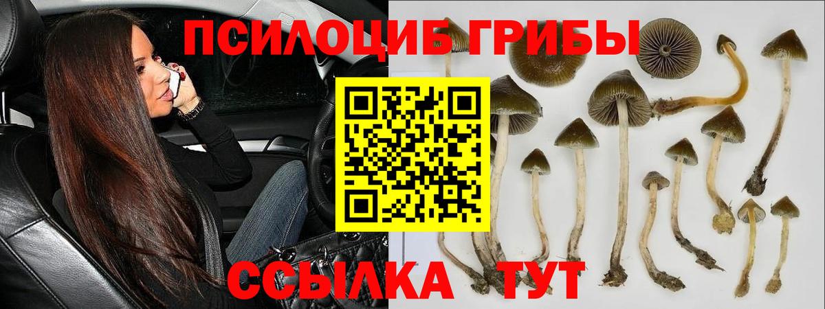 APVP  Вход с VPN  COCAIN  MDMA  Мефедрон  XTC  Мефедрон  Марихуана  Абинск  Гашик 