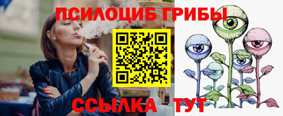 Псилоцибиновые грибы Cubensis Абинск
